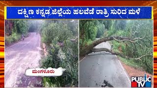 Heavy Rain In Dakshina Kannada; Huge Tree Uprooted | Public TV