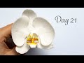 Moth Orchid | Day 21 | 30 Days of Sugar Flowers