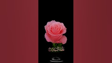 صباح الخير🌺 اجمل حالات واتس اب مقاطع قصيره🌺قران كريم سورة الرحمن 🌺القارئ حسام الدين عبادي بدون حقوق