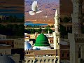 New Naat 2026 Part #4 || Bord muhammed wich madiny tera Naam #ytshorts #islamicstatus  #punjabi