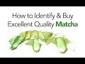 How to Identify Excellent Matcha