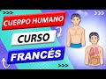 🇫🇷  El cuerpo humano ► en FRANCES 💙 👉 [ #1 EN FRANCIA] 👈
