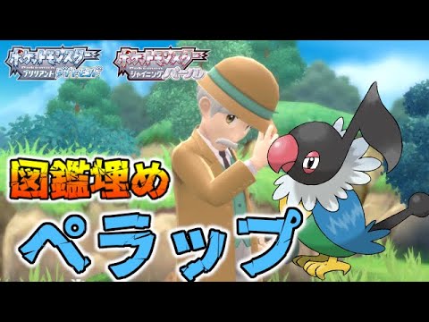 図鑑埋め ペラップ持ちトレーナー紹介 ポケモンbdsp ダイパリメイク Youtube