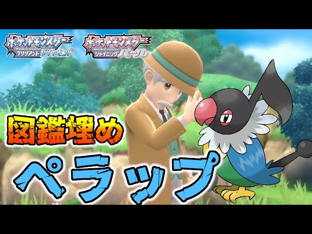 図鑑埋め ペラップ持ちトレーナー紹介 ポケモンbdsp ダイパリメイク Youtube