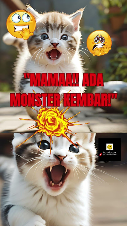 “MONSTER DI CERMIN!”  #shortslucuindonesia #viralshorts #kucingindo #kucinggemoy #catsoftiktok