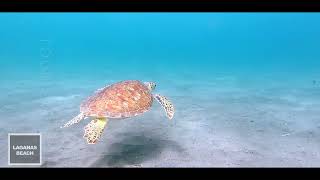 🇬🇷 Zakynthos Greece | Exotic beaches | Top places | Greek islands travel guide Zante