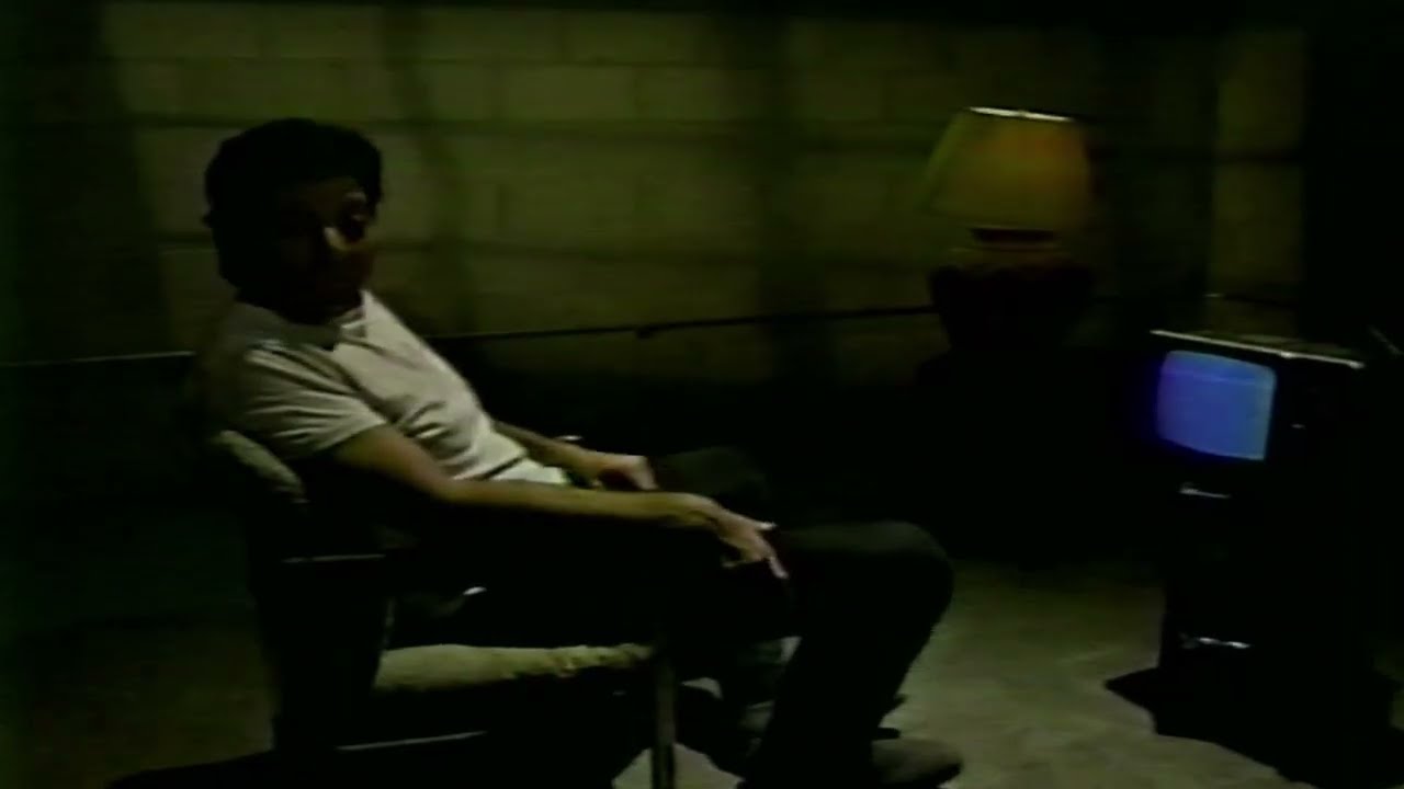 Canyon Rental Ad "Where are your friends? Oh, It's the Tv!"