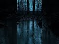 Days like this  vibe  nature  #fyp  #calm  #darkaesthetic #shorts