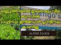 Trissur mannuthyil       nursery  alfiiiz vlogs