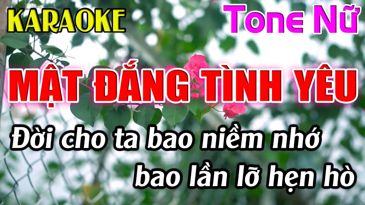 Mật Đắng Tình Yêu Karaoke Tone Nữ ( Gm ) Karaoke Dễ Hát - Beat Mới