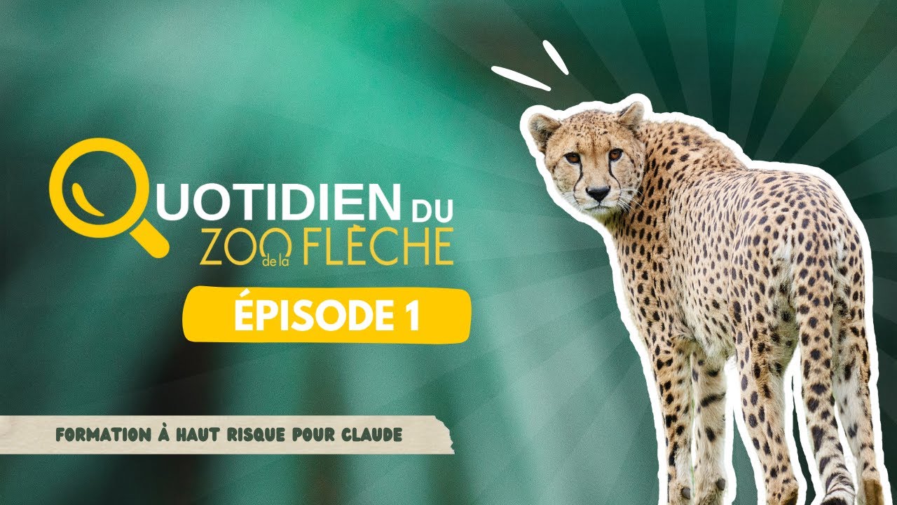 Formation à haut risque pour Claude ! 🐆 (Saison 1 - Episode 1)