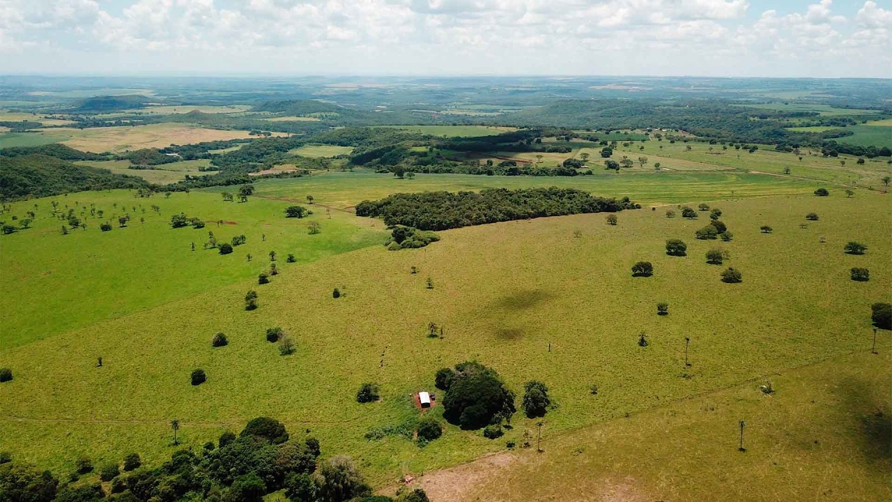 Fazenda em  Jaraguari/MS - 442 ha