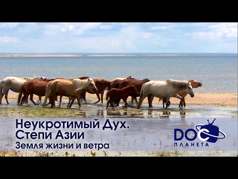 Неукротимый Дух. Степи Азии - Фильм 1.Земля жизни и ветра - Документальный фильм