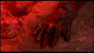 A Nightmare on Elm Street 4 - Freddys Rebirth