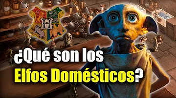 ¿Se paga a los elfos domésticos?