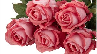 DILATATA Artificial Realistic Roses Pale Red Flowers Real Touch Silk Roses Bouquet Long Stems Rose screenshot 3