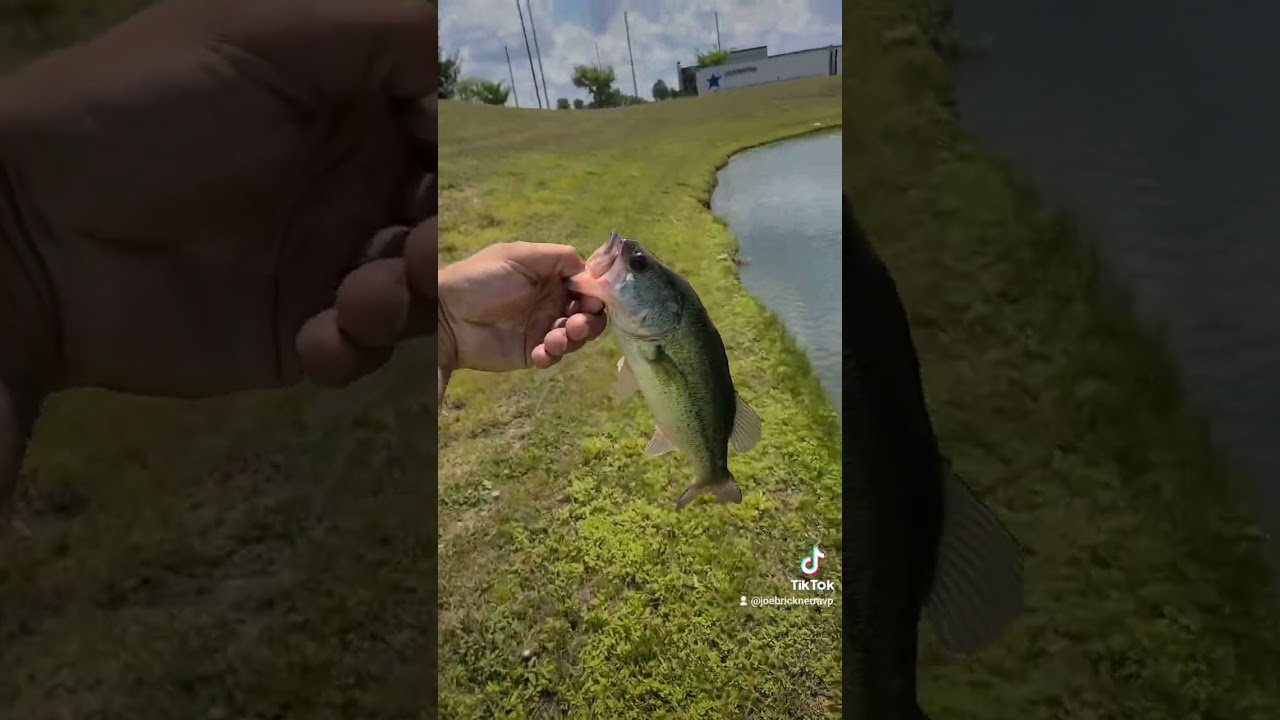 yes sir bass fishing shore columbus ohio tunnels flooded ponds lots of bass