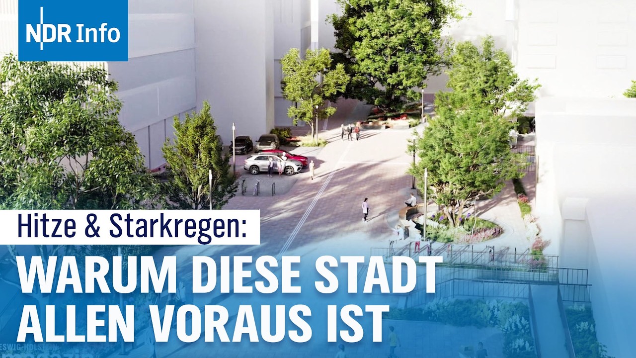 Hitzewellen und Starkregen: Schwammstadt - Entsiegelung statt Betonwüsten | NDR Info