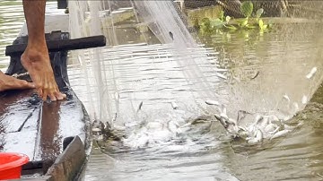 De heer Chien en zijn vrouw namen hun jonge kind mee om de kost te verdienen met het vangen van v...