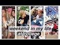 College WEEKEND VLOG: Apple Picking, Going Out, Philanthropy, Taillgate...