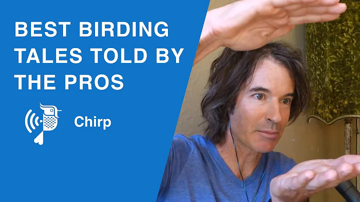 Best Birding Stories Told By The Pros | Chirp From...