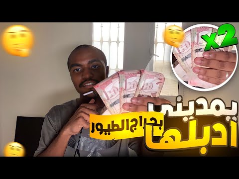 في حراج الطيور تدبيل٤٠٠ الى 1
