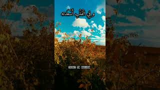 ما هي البركة ؟ / حالات واتساب /  tiktok / دعاء / trend / dz