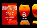 Овоскопирование яйц на 6й день. Обычным фонариком