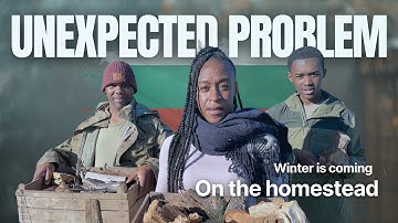 We found a big problem on the homestead… and winter is near | Family start over in Bulgaria 