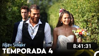 Pájaro Soñador Temporada 4 Todos Los Capítulos (Doblado En Español)