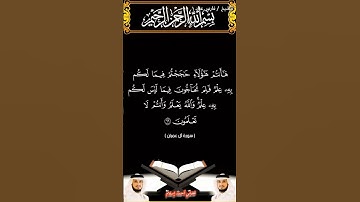 سورة آل عمران من الآية 65 إلى الآية 67 بصوت الشيخ فارس عباد برواية حفص #القرآن_الكريم #اكسبلور #vira