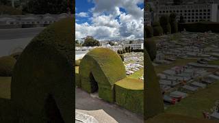 E90121E3-67C6-4490-97E3-5F3762F2E305.mp4