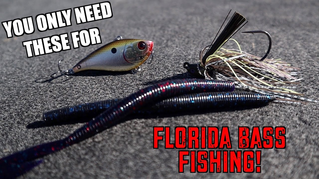 Must-Have Bass Fishing Baits For Any Season