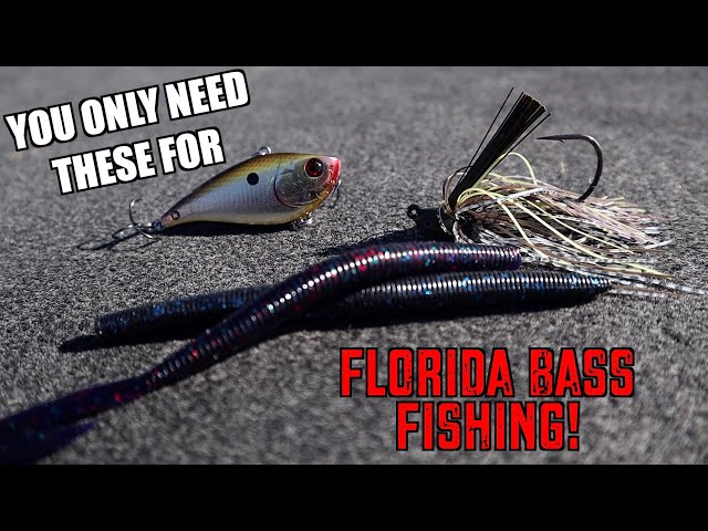 Best Bass Jigs for Florida Fishing - Florida Sportsman