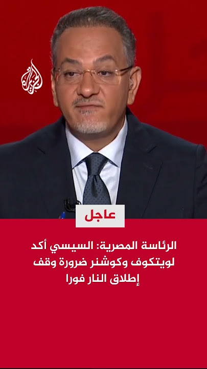الرئاسة المصرية: السيسي أكد لويتكوف وكوشنر ضرورة وقف إطلاق النار فورا