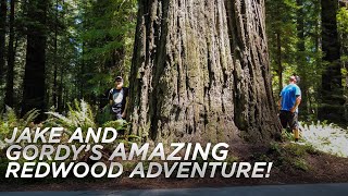 Jake and Gordy's AMAZING Redwood Adventure!