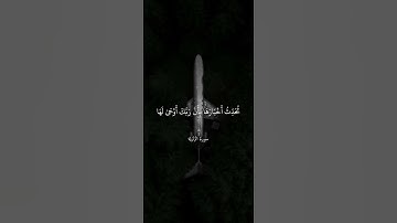 سورة الزلزلة تلاوة خاشعة  الشيخ ماهر المعيقلي