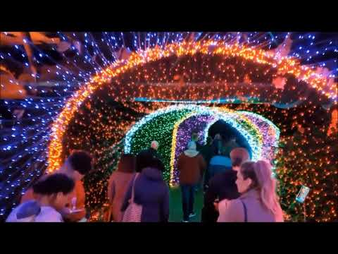 Garden Lights Holiday Nights 2017 Atlanta Botanical Gardens