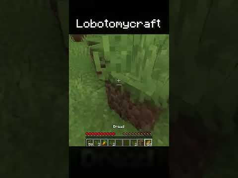 Minecraft after the
