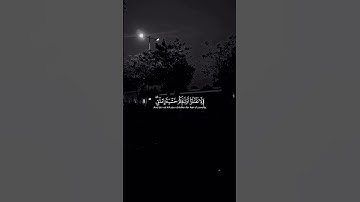 ارح سمعك.. تلاوة هادئة تريح القلب والعقل #قران_كريم #قران #اسلام_صبحي #رعد_الكردي #ناصر_القطامي