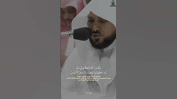 ما تيسر من سورة النحل     تلاوة خاشعة بصوت القارئ ماهر المعقلي
