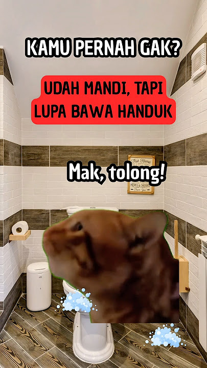 Pas mandi lupa bawa handuk 🥲 #catmemes #memekucing #kucingmeme #catshorts #catvideos #cats #funny