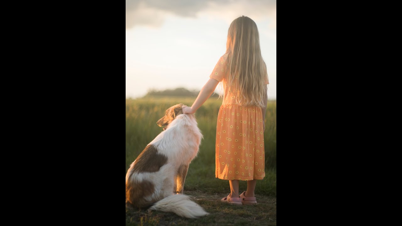 THE ART OF RESILIENCE - TEASER - YouTube
