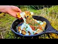 Chicken taquitos you will never get bored of this recipe  cooking in nature