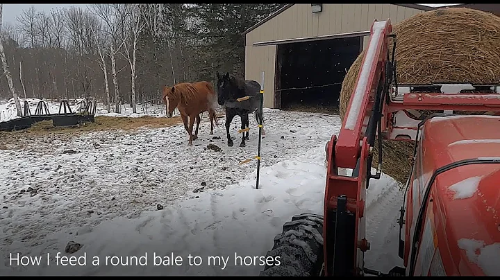 How I feed a round bale to my horses