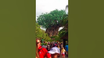 Thumbnail of Disney’s secret island that you can’t go to anymore