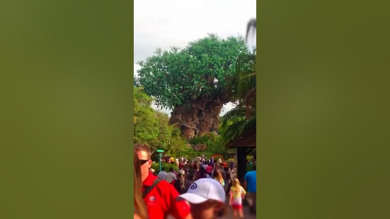 Disney’s secret island that you can’t go to anymore