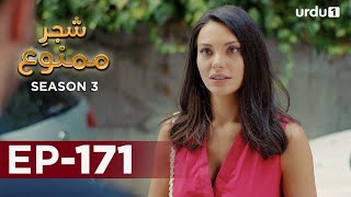 Shajar-e-Mamnu | Episode 171 | Turkish Drama  | Forbidden Fruit | Urdu Dubbing | 05 August 2021