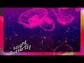 【リクエスト】Nightbutterfly / Tani Yuuki  1時間耐久 (作業用BGM)
