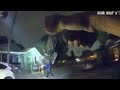 Bodycam: Armed Shooting Suspect Shot By Officers In Busy Neighbourhood.